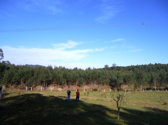 CHÁCARA 3,0 HA - FORTALEZA