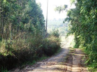 CHÁCARA 3,0 HA - FORTALEZA