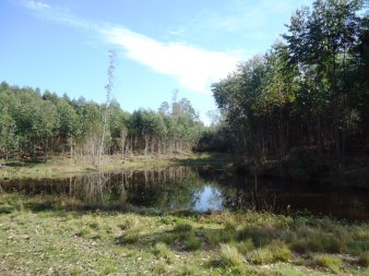 CHÁCARA 10,5 HA NA FORTALEZA