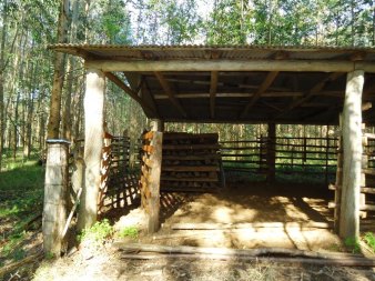 CHÁCARA 10,5 HA NA FORTALEZA