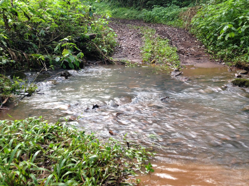 CHÁCARA COM 5,8 HA - LINHA TIGRE