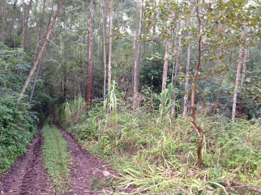 CHÁCARA COM 5,8 HA - LINHA TIGRE