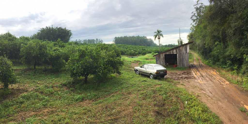 AMPLOS TERRENOS NA BR-470 - SÃO JOSÉ DO SUL