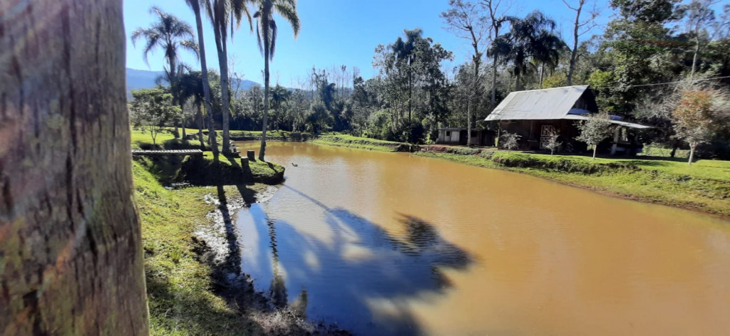 SÍTIO COM 5.000m2, ÁREA URBANA DE SÃO JOSÉ DO SUL