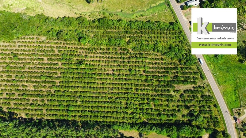 LINDA ÁREA COM 7HA NA RS411 - COSTA DA SERRA